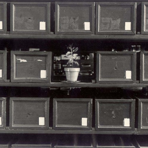 0003_Still life_Hajn_Jan.jpg